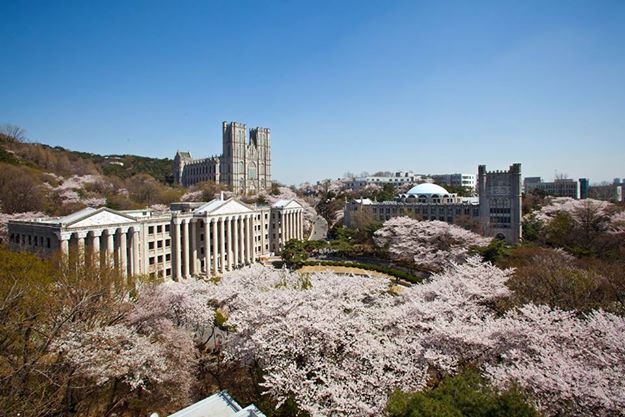 Học Bổng TOP 5 Trường Đại Học Nổi Tiếng Tại Hàn Quốc