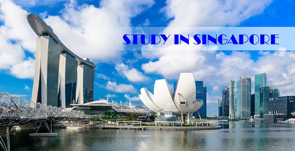 Nên chọn ngành gì khi đi du học Singapore?