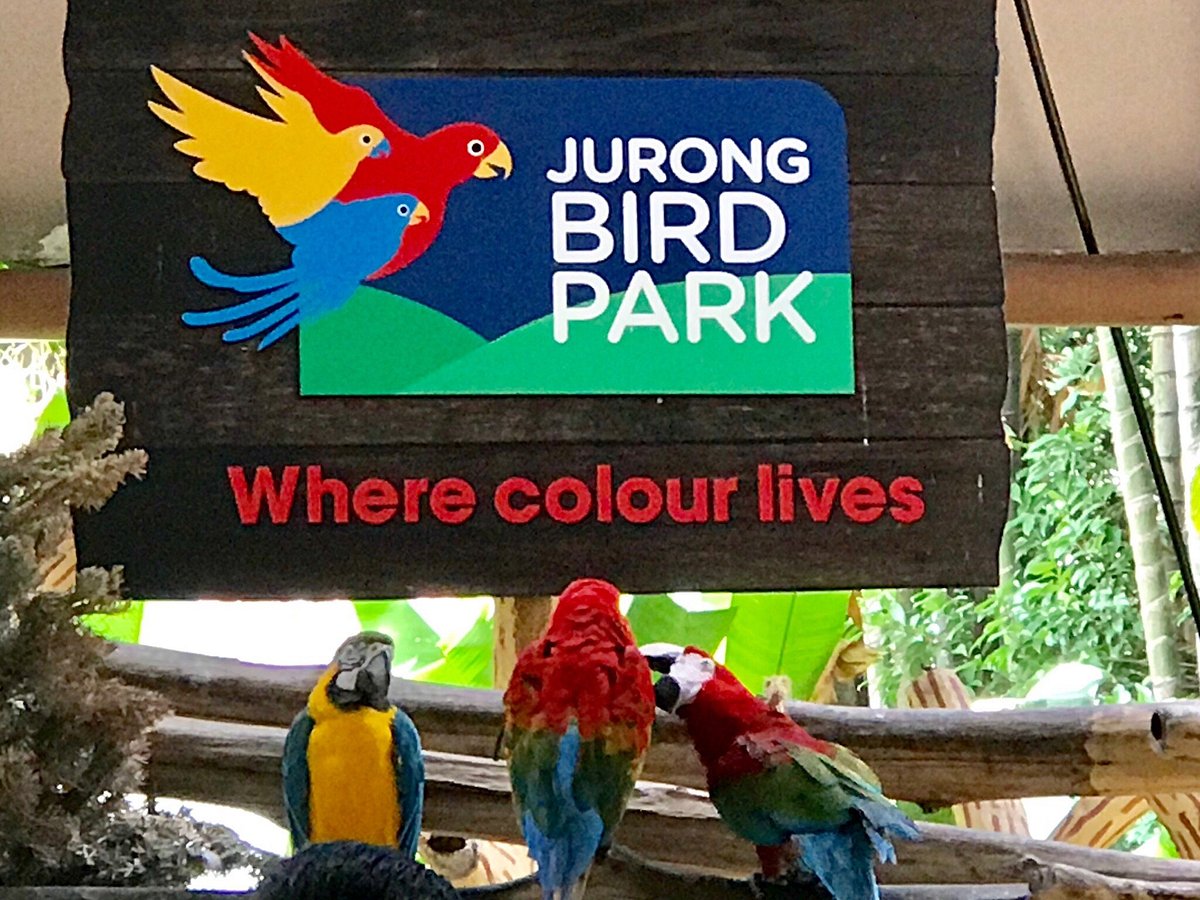 Khám phá Jurong Bird Park Singapore